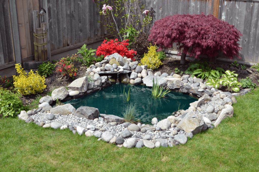 Pond - South Florida Landscaping Ideas