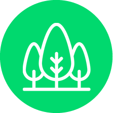 Tree Services - South Florida Landscaping Services