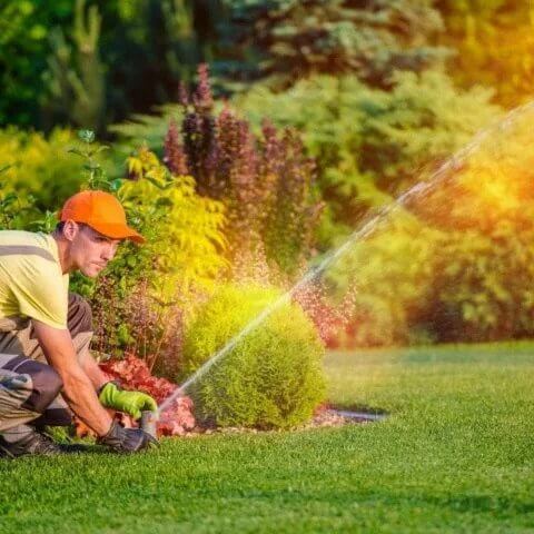 Promote Healthy Lawn With Lawn Care Services