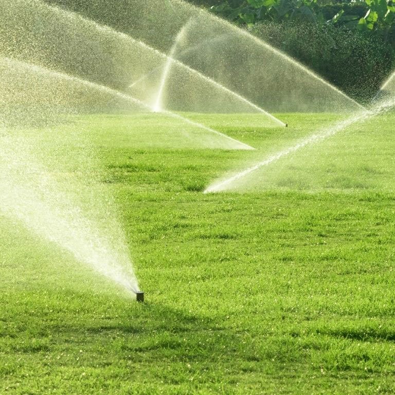 Watering Grass Lawn Maintenance