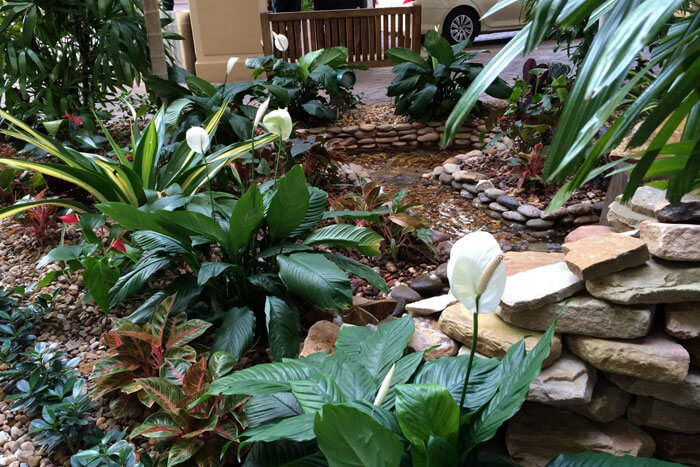 Fort Lauderdale Residential Landscaping Service