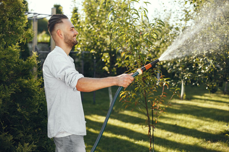 Annual Lawn Maintenance Tips Watering The Lawn