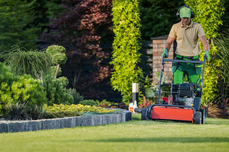 Annual Lawn Maintenance Tips