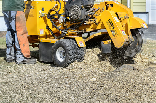 Stump Removal With Stump Grinder